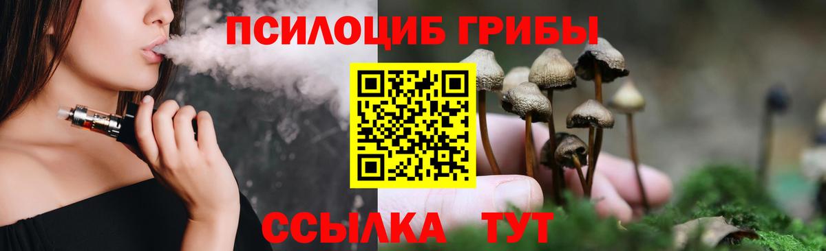 Псилоцибиновые грибы Magic Shrooms Мытищи